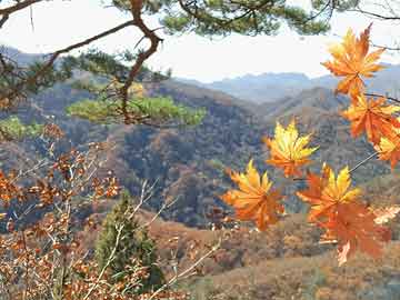 自驾旅游费用明细表模板（自驾游费用计算表格）