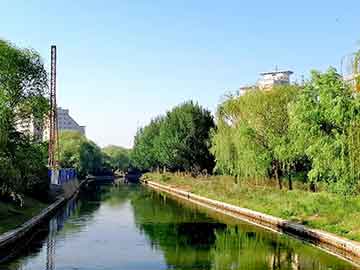 旅游管理酒店实习背景（旅游酒店管理专业就业前景）